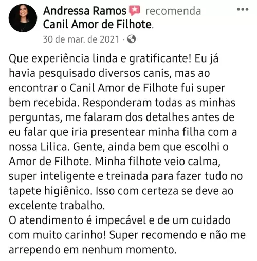 Depoimentos de Clientes