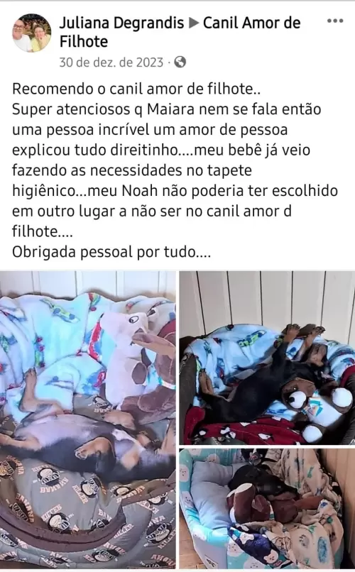 Depoimentos de Clientes