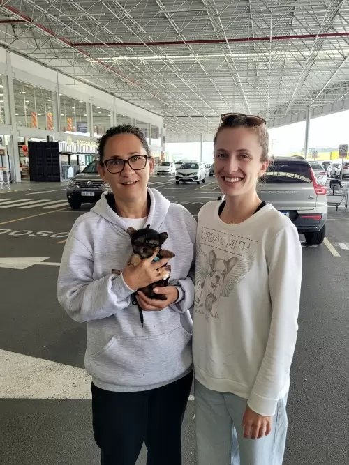 Entregas de Filhotes