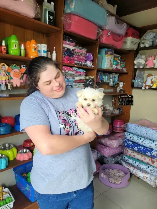 Entregas de Filhotes