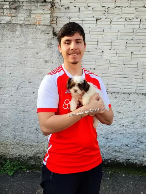 Entregas de Filhotes