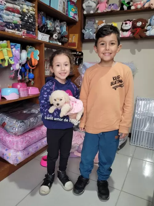 Entregas de Filhotes