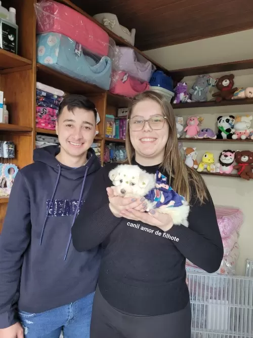 Entregas de Filhotes