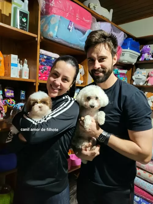 Entregas de Filhotes