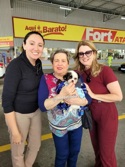 Entregas de Filhotes