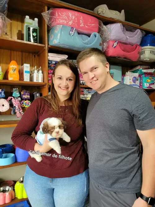 Entregas de Filhotes