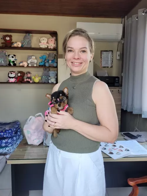 Entregas de Filhotes