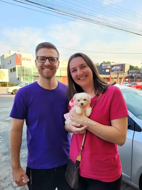 Entregas de Filhotes