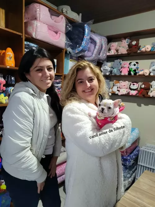 Entregas de Filhotes