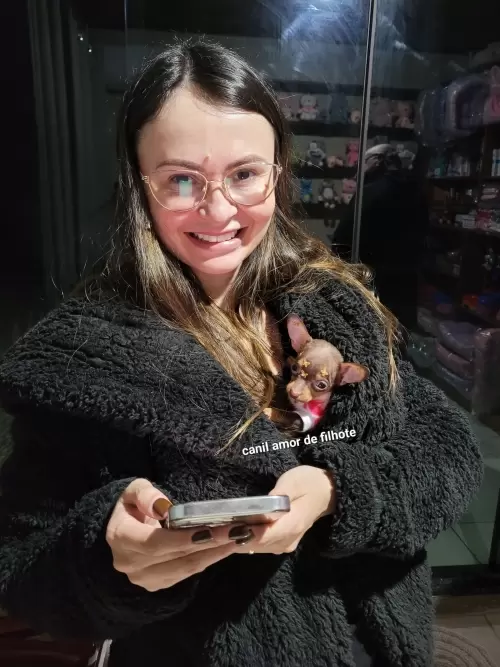 Entregas de Filhotes