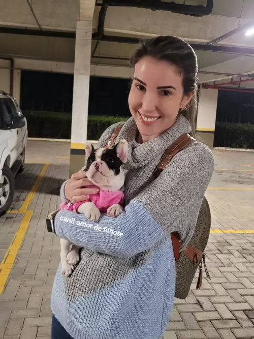 Entregas de Filhotes