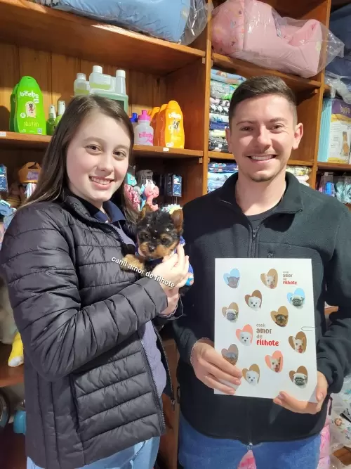 Entregas de Filhotes