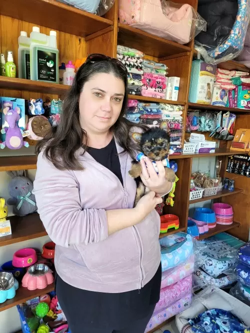 Entregas de Filhotes