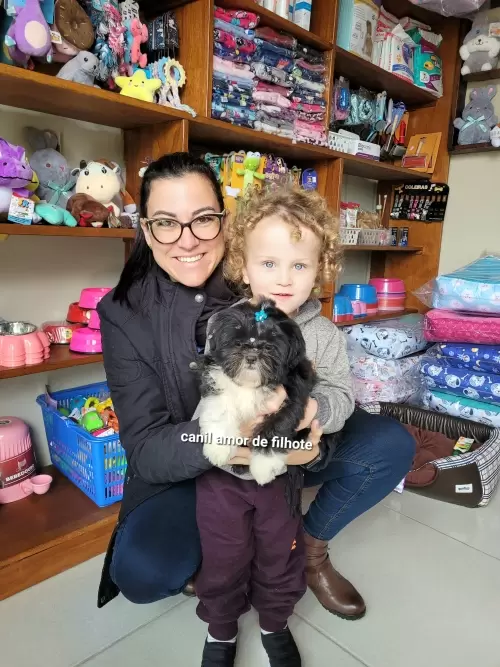 Entregas de Filhotes