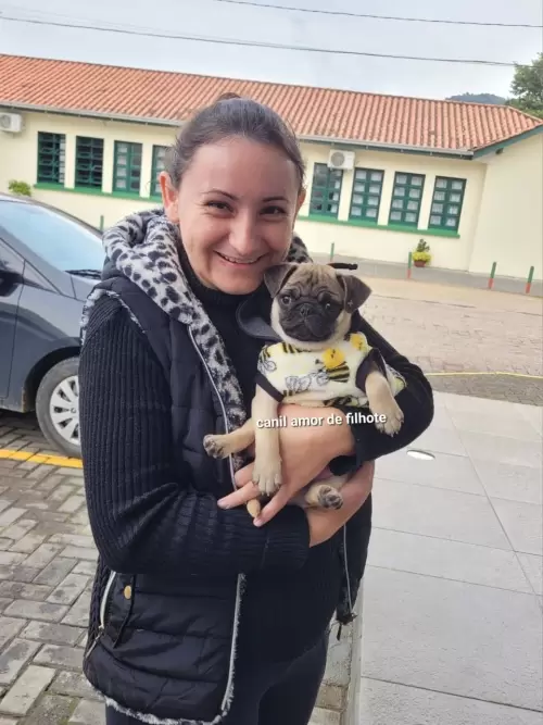 Entregas de Filhotes