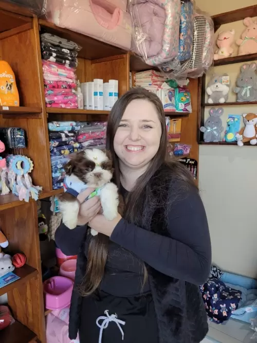 Entregas de Filhotes