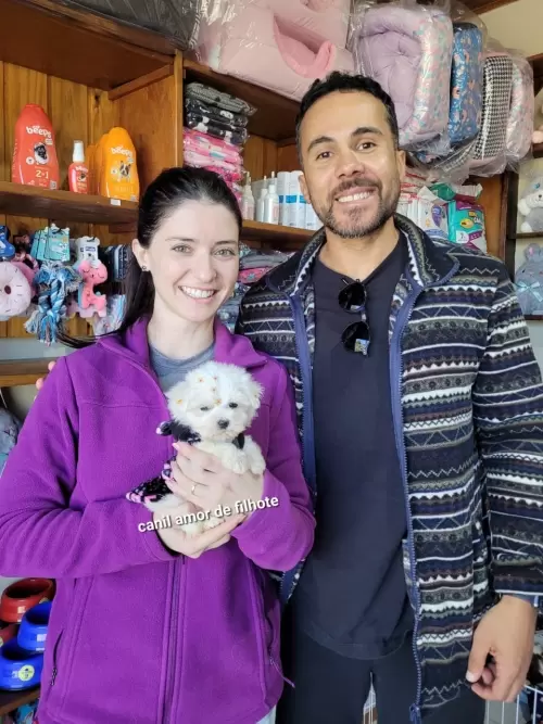 Entregas de Filhotes