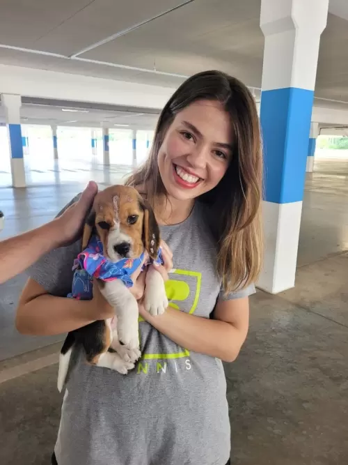 Entregas de Filhotes