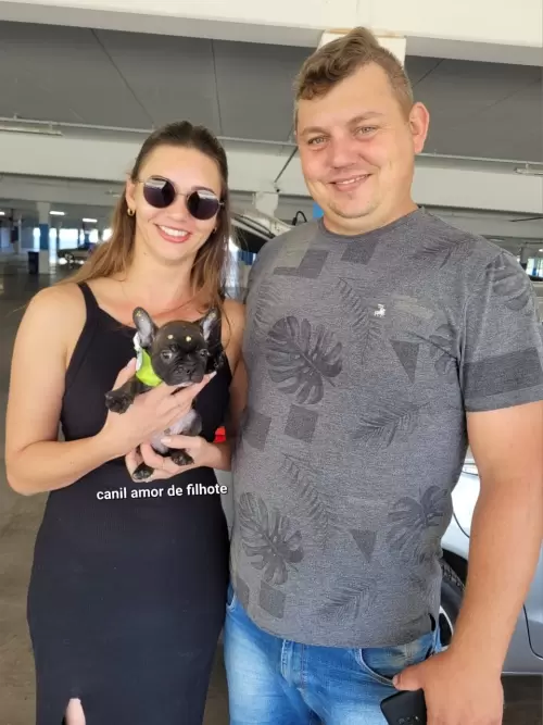 Entregas de Filhotes