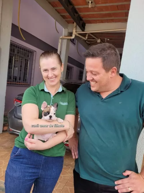 Entregas de Filhotes