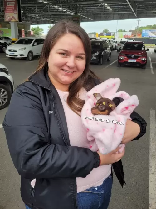 Entregas de Filhotes