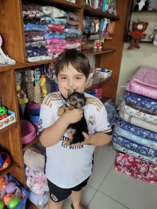 Entregas de Filhotes