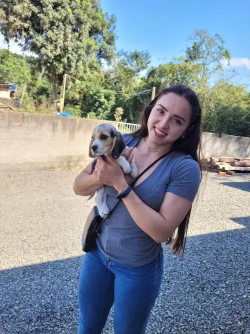 Entregas de Filhotes