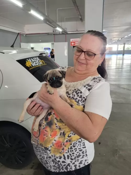 Entregas de Filhotes