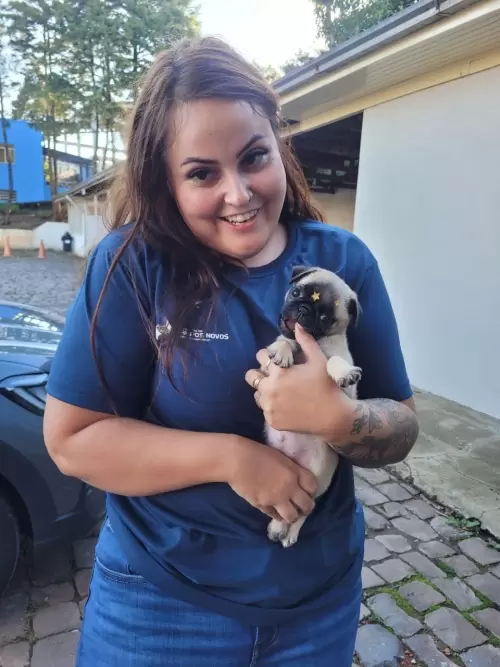 Entregas de Filhotes