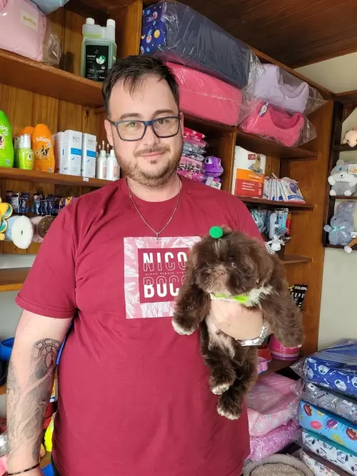 Entregas de Filhotes