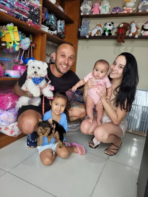 Entregas de Filhotes