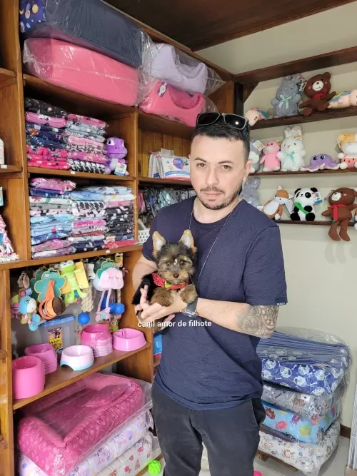 Entregas de Filhotes