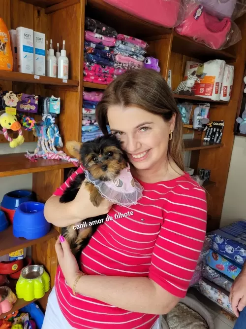 Entregas de Filhotes