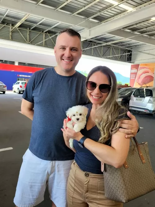 Entregas de Filhotes