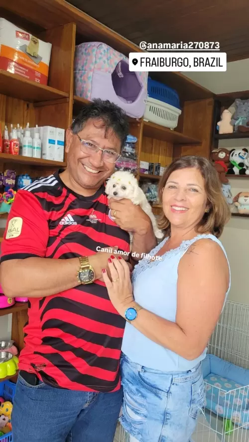 Entregas de Filhotes