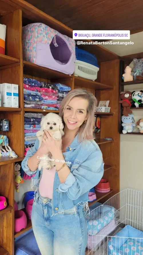 Entregas de Filhotes