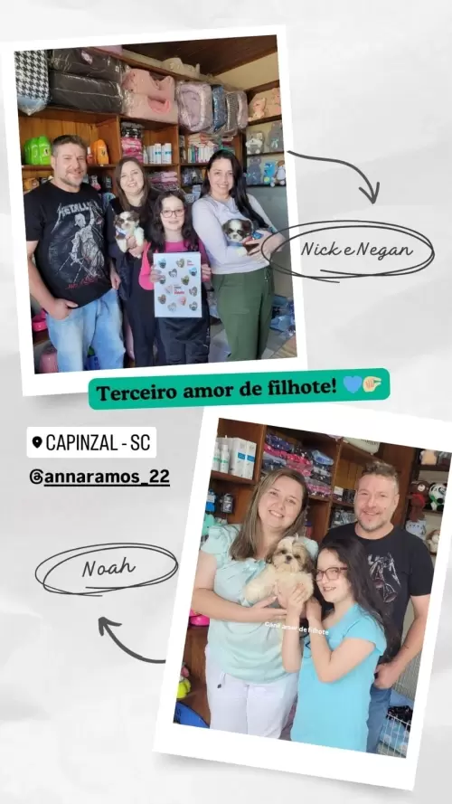 Entregas de Filhotes